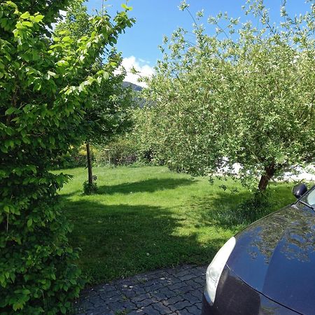 Flores, Ferienhaus Oder Doppelzimmer, Im Gruenen, 5 Gehminuten Ins Zentrum, Parkplatz, Zero Emissions Bad Ischl Eksteriør billede