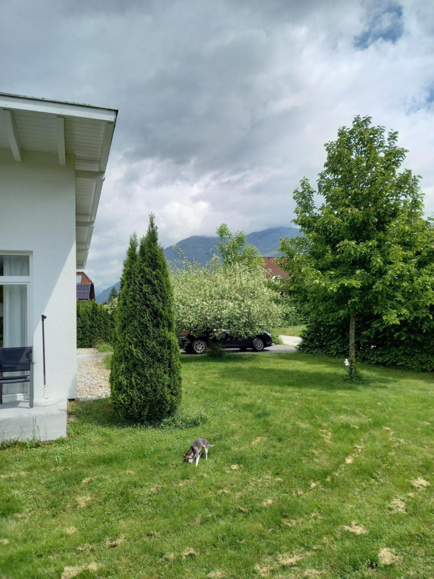 Flores, Ferienhaus Oder Doppelzimmer, Im Gruenen, 5 Gehminuten Ins Zentrum, Parkplatz, Zero Emissions Bad Ischl Eksteriør billede