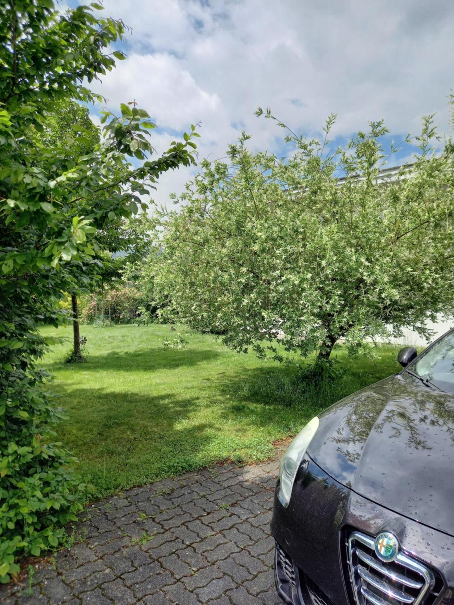 Flores, Ferienhaus Oder Doppelzimmer, Im Gruenen, 5 Gehminuten Ins Zentrum, Parkplatz, Zero Emissions Bad Ischl Eksteriør billede